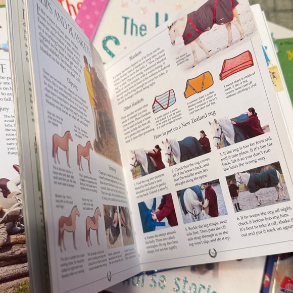 Children's Horse Picture Books Bundle - Colorful Covers - Picture 4 of 5